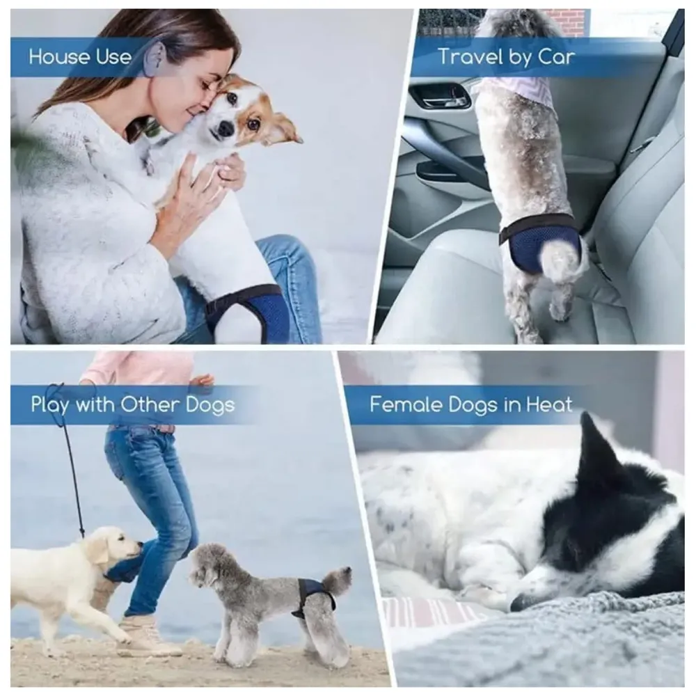 Female Dog Diapers Diaper Comfortable Reusable Female Dog, Puppy, and Female Dogs Diapers with 3 Absorption Cotton Pads