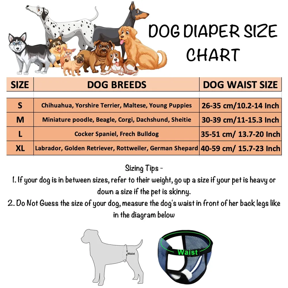 Female Dog Diapers Diaper Comfortable Reusable Female Dog, Puppy, and Female Dogs Diapers with 3 Absorption Cotton Pads