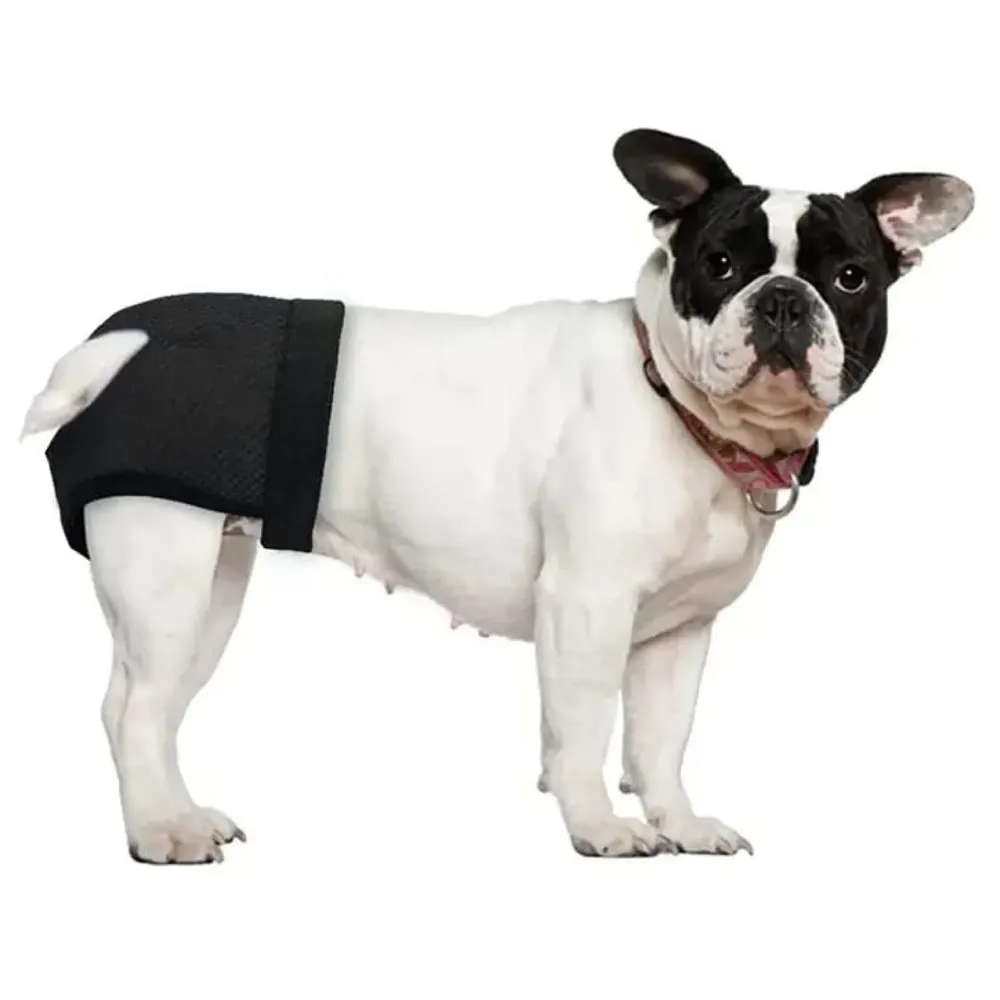 Female Dog Diapers Diaper Comfortable Reusable Female Dog, Puppy, and Female Dogs Diapers with 3 Absorption Cotton Pads