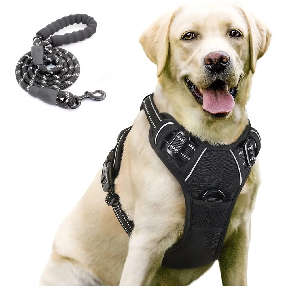 Dog Harness Combo Vest and Leash Breathable Adjustable Dog Body Belt No Pulling No Chock Oxford Fabric for Labradors, Golden Retriever, German Shepherd, Black