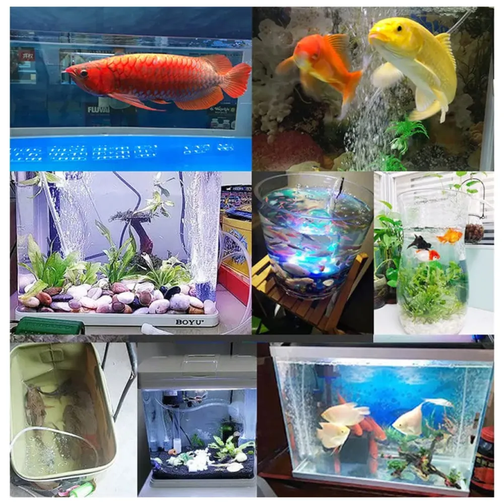 Aquarium Oxygen Pump - USB Air Pump - Quietest Portable Aquarium Air Pump - Air Stone and Hose Included - Low Power Usage - 5