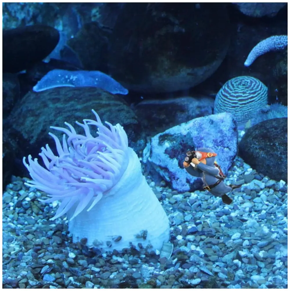 6 pcs Aquarium Diver Cartoon Aquarium Floating Cute Resin Aquarium Accessories Decorative Items for Fish Aquarium, Floating on Water, Fish Aquarium Decoration, 7 X 3 cm Blue Orange and Black - 8