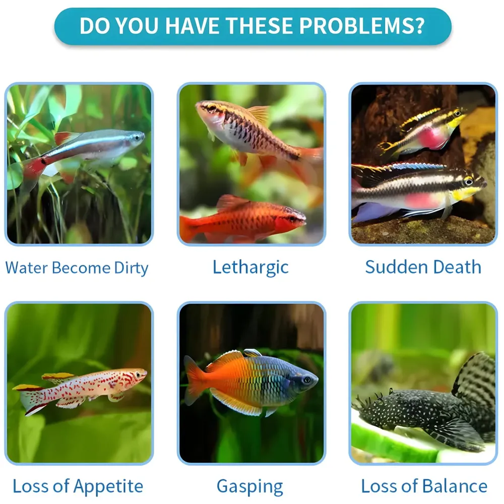 50 Strips 14 in 1 Aquarium Test Strips, Freshwater, Saltwater, Pond Test Strips for Fish Tank Testing pH, Alkalinity, Nitrite, Nitrate, Chlorine, Carbonate, Hardness Copper, Lead Etc