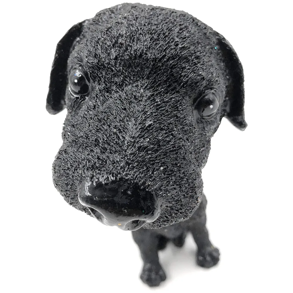 Dog Black Labrador Bobblehead Resin for Cars ~ Desks ~ Study ~ Office ~ Dashboard Decors (Black Labrador)