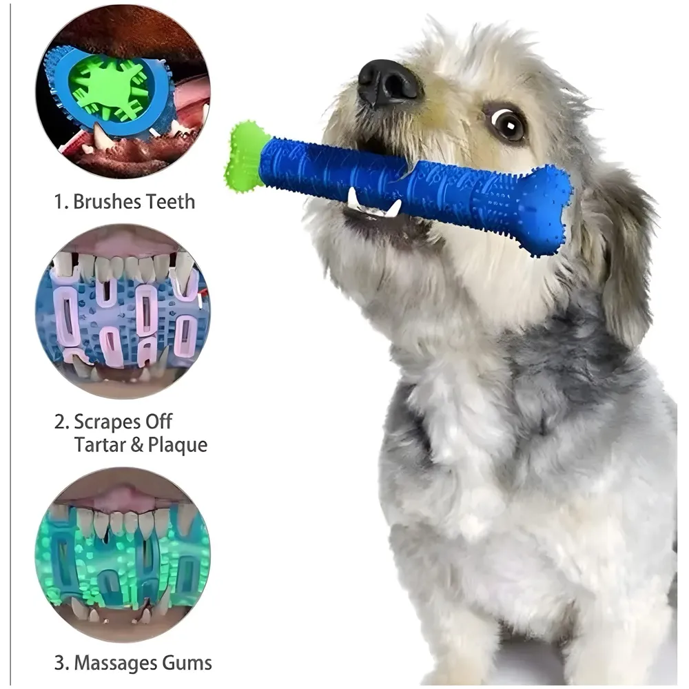 Bone Chew Toy Silicone Pet Stick, Dog Stick, for Teeth Cleaning, Toy Pet - 24.5 cm x 4.5 cm for Small and Large Dogs - 2