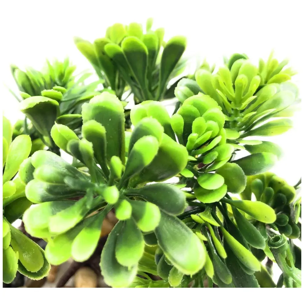 Bonsai Artificial Dwarf Tree ~ Artificial Plants with Pot and Grass Ideal for Home Décor. with Realistic Detailing Size 15 cm x 15 cm (Dark Green)