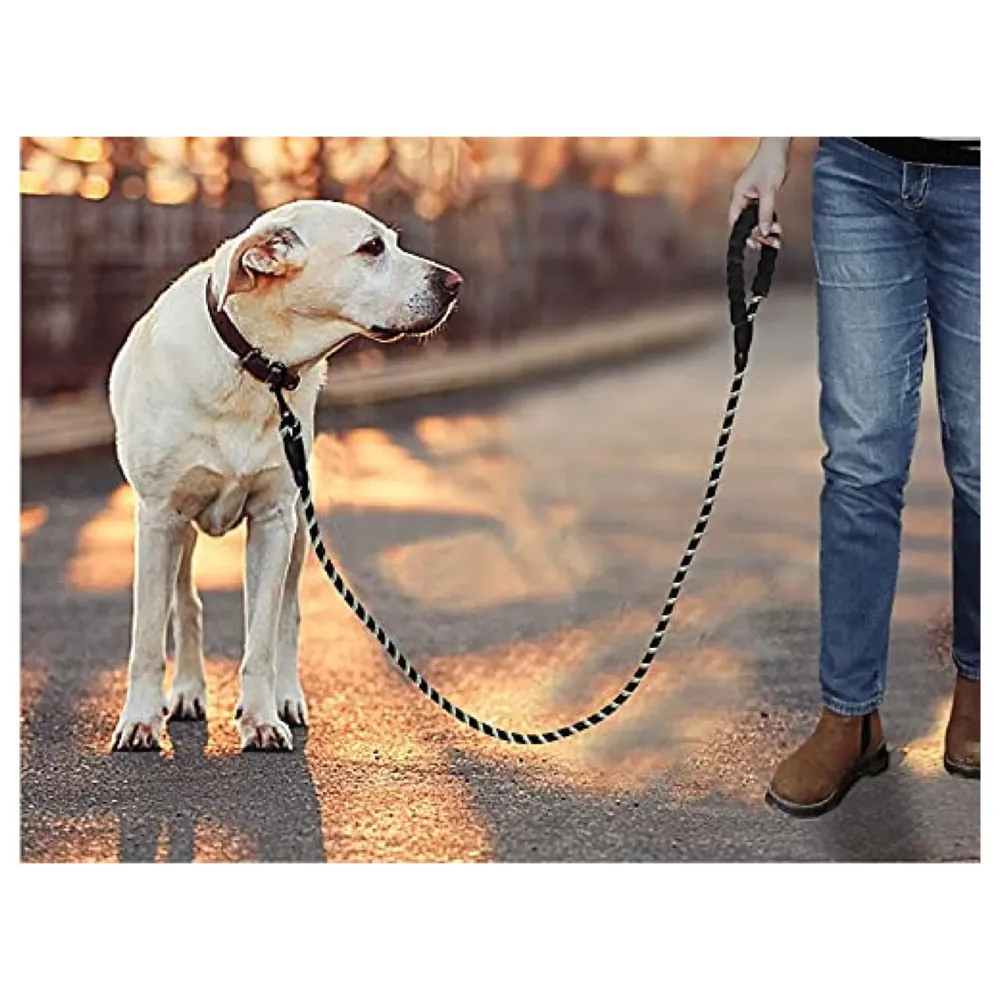 Braided 5 Ft, Strong Dog Leash with Comfortable Padded Handle and Highly Reflective Threads for Small Medium and Large Dogs. (Black)