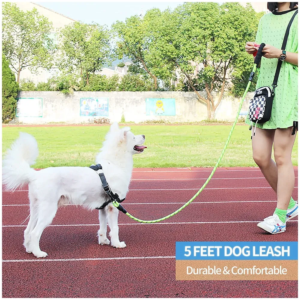 Braided 4 Ft, Strong Dog Leash with Comfortable Padded Handle and Highly Reflective Threads for Small Medium and Large Dogs. (Green)