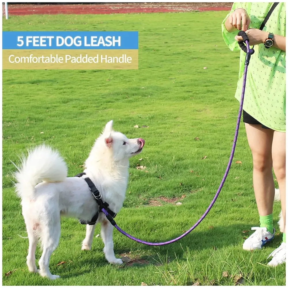 Braided 4 Ft, Strong Dog Leash with Comfortable Padded Handle and Highly Reflective Threads for Small Medium and Large Dogs. (Purple)