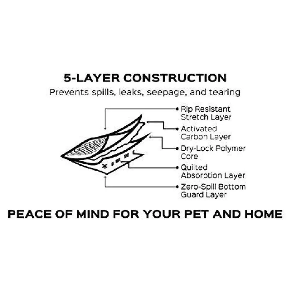 Puppy Carbon Activated Training Pad ~ Pee Pads Ideal for and Potty Training Odour Less (Carbon 60 x 60 Cms, 20) - 3