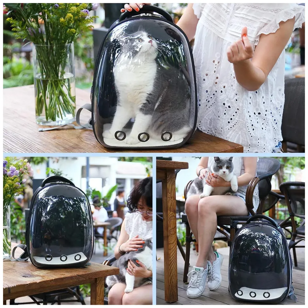 Creative Transparent Pet Backpack Carrier Breathable Capsule Traveller for Cats and Small Dogs. (Black)