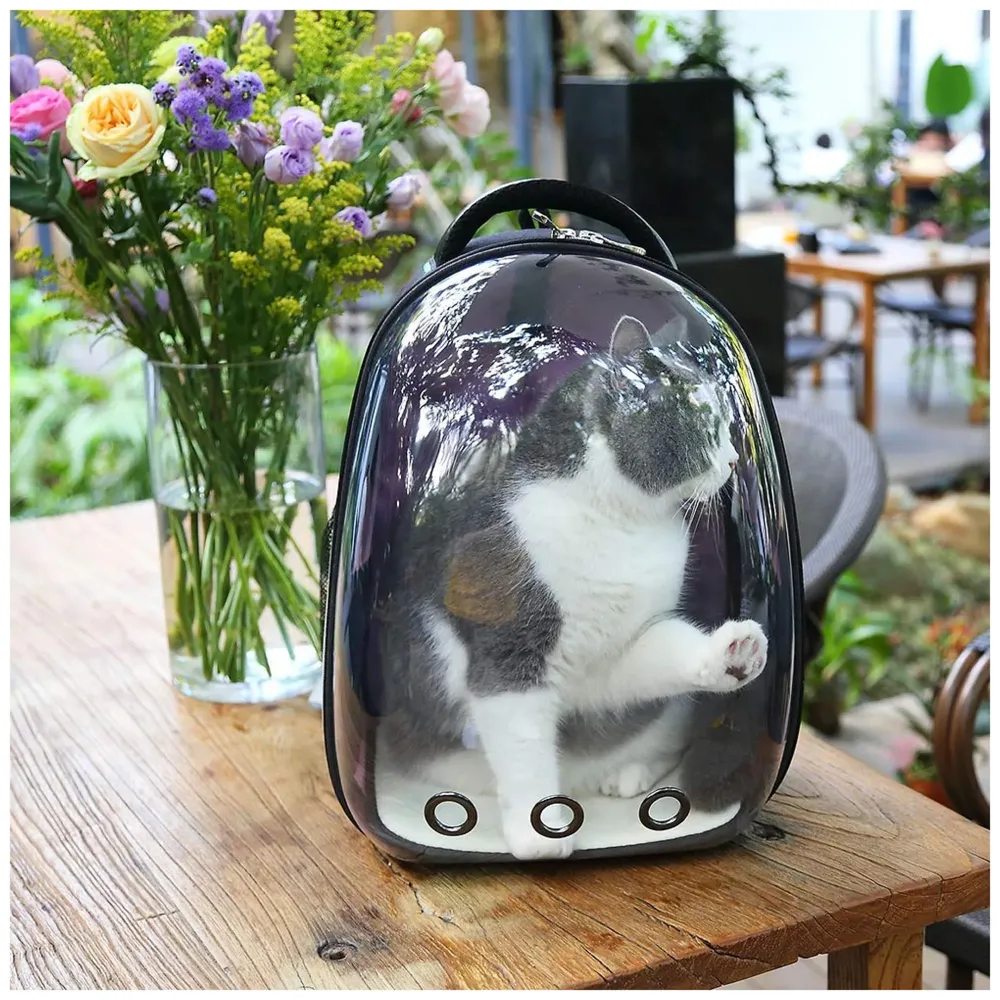 Creative Transparent Pet Backpack Carrier Breathable Capsule Traveller for Cats and Small Dogs. (Black)