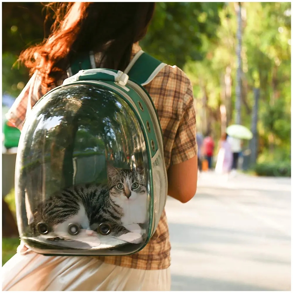 Transparent Pet Backpack Carrier Breathable Capsule Traveller for Cats and Small Dogs Green