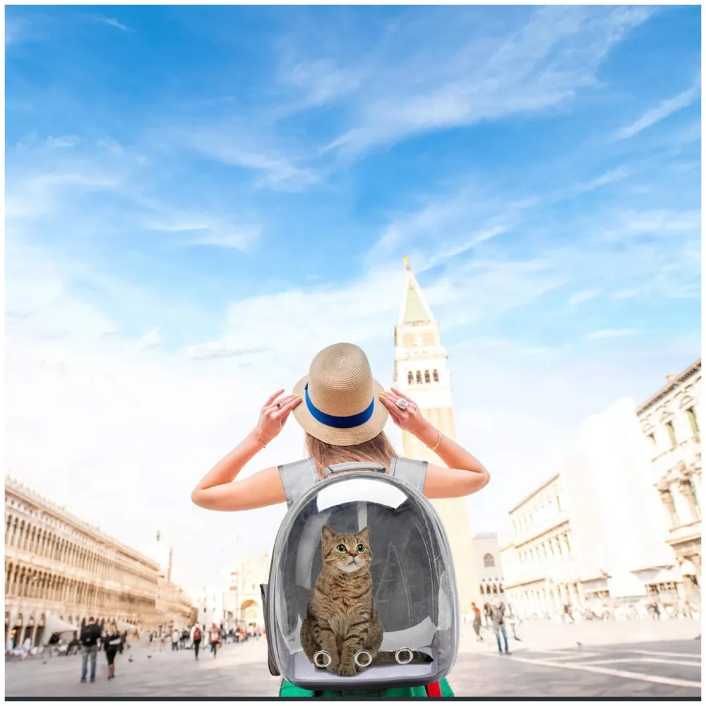 Grey Transparent Pet Backpack Carrier Breathable Capsule Traveller for Cats and Small Dogs.