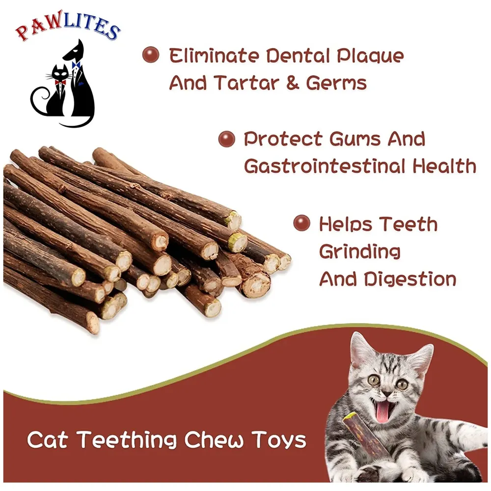 Catnip Sticks 5 Pcs Kitten Cat Toys Silvervine Sticks Kitty Wooden Stick Teething Toys Molar Suitable for Cats of All Ages Chew Toys (5 Sticks - 5 Inch)