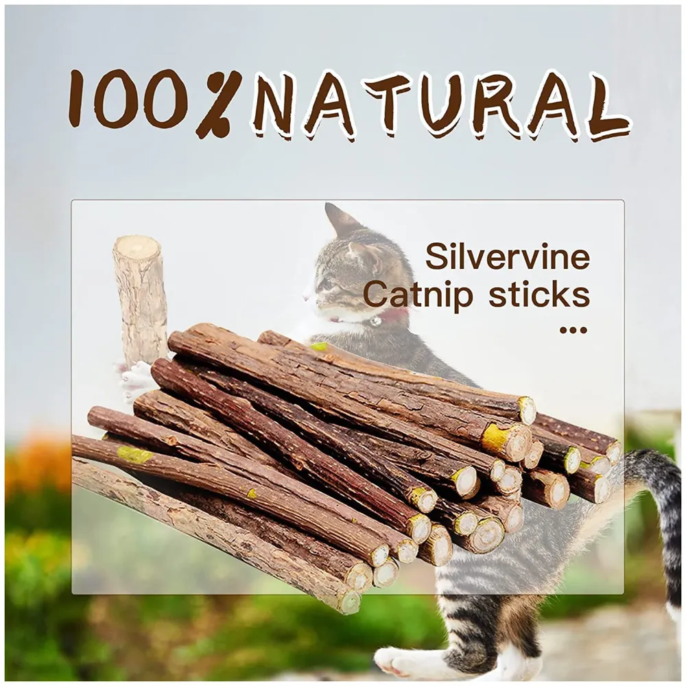 Catnip Sticks 5 Pcs Kitten Cat Toys Silvervine Sticks Kitty Wooden Stick Teething Toys Molar Suitable for Cats of All Ages Chew Toys (5 Sticks - 5 Inch)