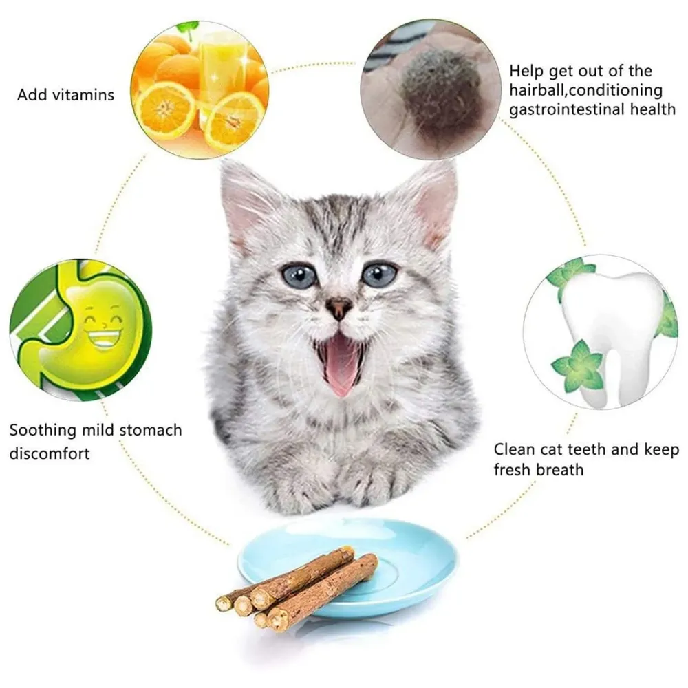 Catnip Sticks 5 Pcs Kitten Cat Toys Silvervine Sticks Kitty Wooden Stick Teething Toys Molar Suitable for Cats of All Ages Chew Toys (5 Sticks - 5 Inch)