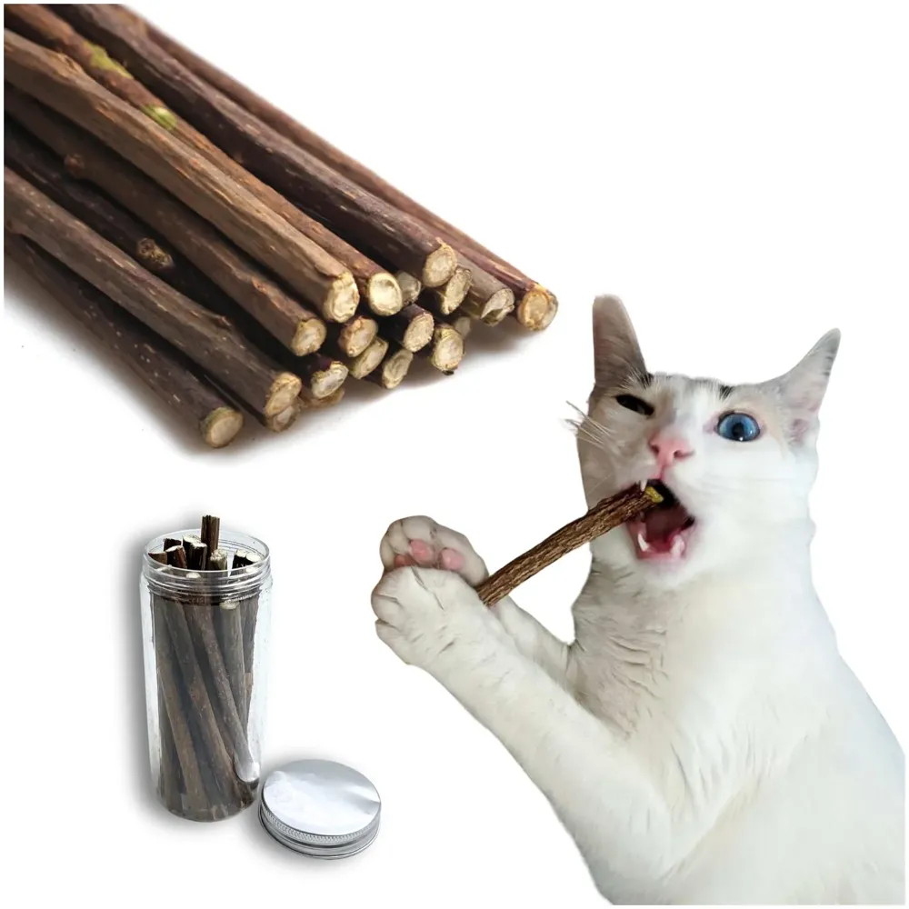 Catnip Sticks 15 Pcs Kitten Cat Toys Silvervine Teething Toys Molar Suitable for Cats of All Ages Chew Toy with Box.
