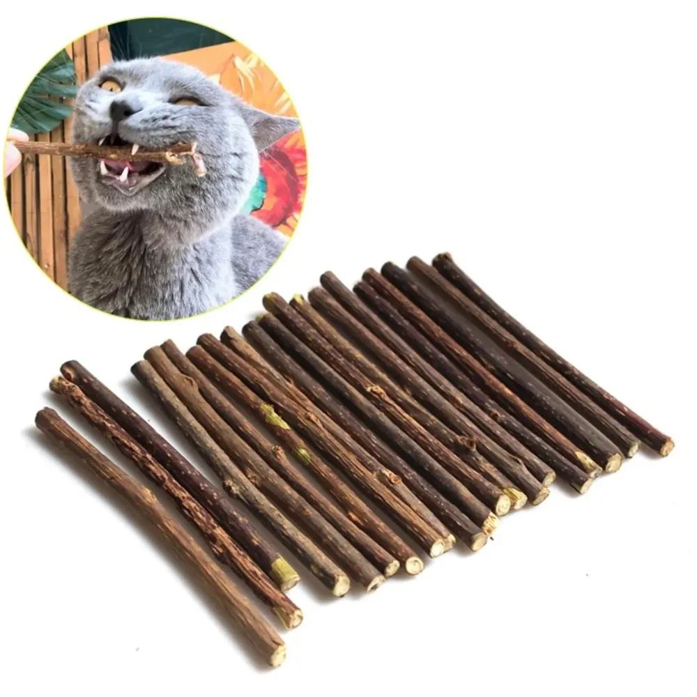 Catnip Sticks 15 Pcs Kitten Cat Toys Silvervine Teething Toys Molar Suitable for Cats of All Ages Chew Toy with Box.