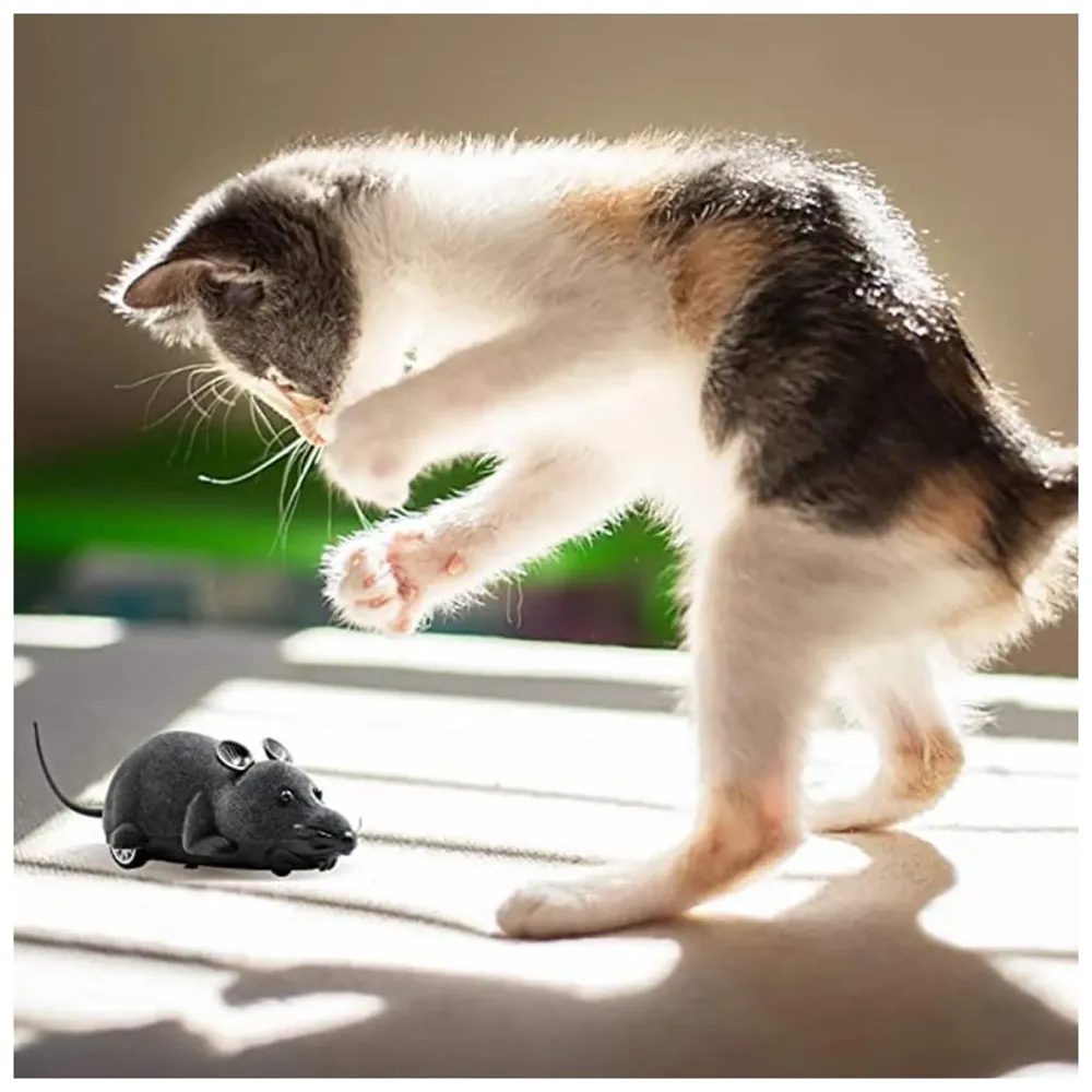 Remote Control Cat Toy, Mouse Shaped, Interactive Play Chasing Running Play time - 8