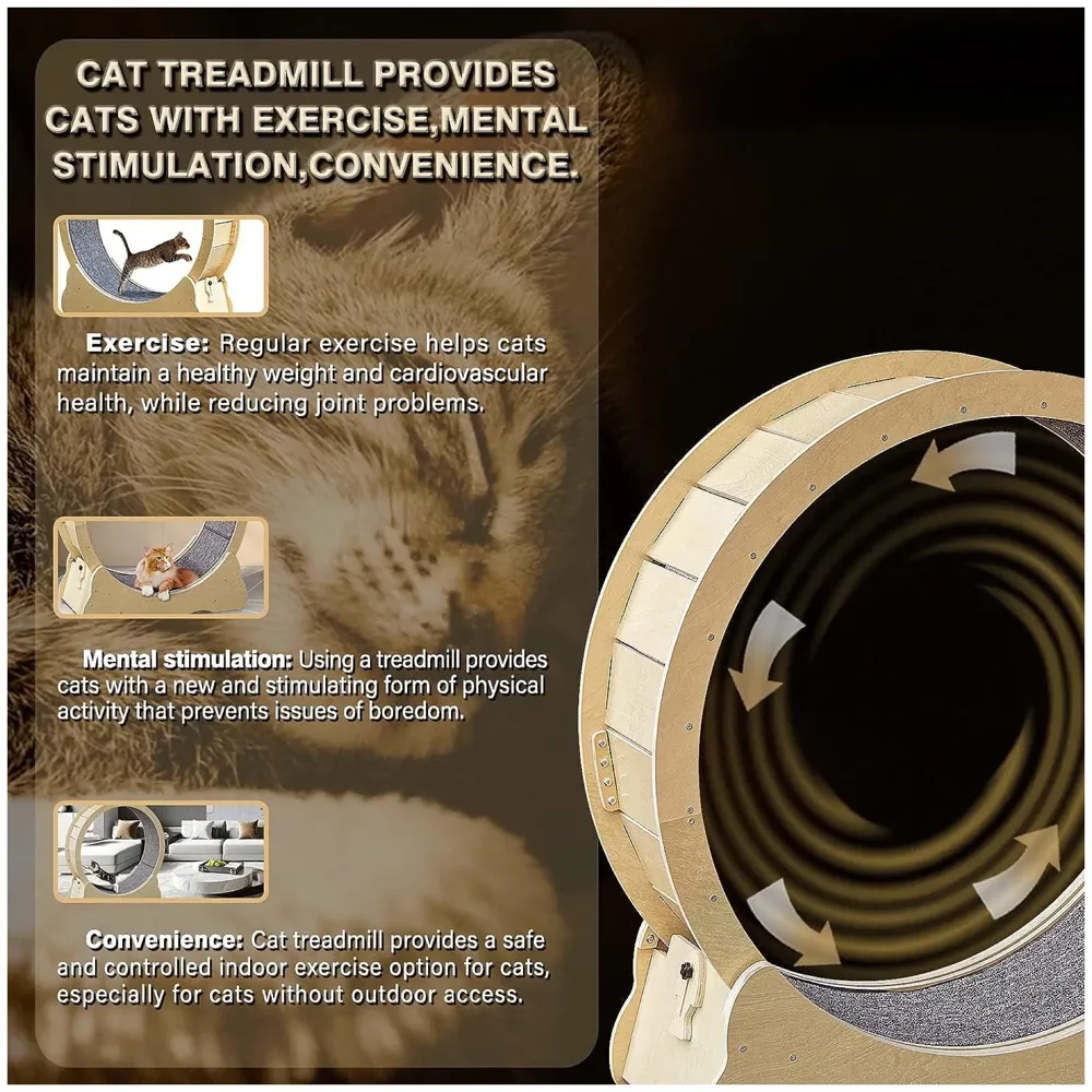 Large Cat Exercise and Running Wheel 40 Inch for Indoor, Sturdy Cat Treadmill Wheel with Locking Mechanism，Stable & Quiet Running for Cat's Healthy 100 Cm Diameter (40 Inch) - 3