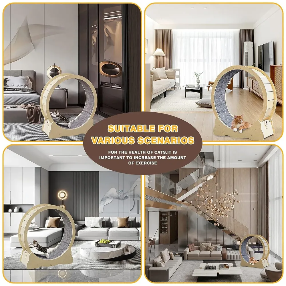 Large Cat Exercise and Running Wheel 40 Inch for Indoor, Sturdy Cat Treadmill Wheel with Locking Mechanism，Stable & Quiet Running for Cat's Healthy 100 Cm Diameter (40 Inch) - 4