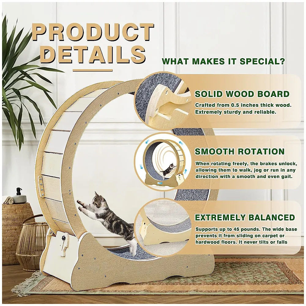 Large Cat Exercise and Running Wheel 40 Inch for Indoor, Sturdy Cat Treadmill Wheel with Locking Mechanism，Stable & Quiet Running for Cat's Healthy 100 Cm Diameter (40 Inch) Premium