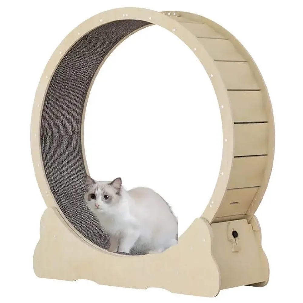 Large Cat Exercise and Running Wheel 40 Inch for Indoor, Sturdy Cat Treadmill Wheel with Locking Mechanism，Stable & Quiet Running for Cat's Healthy 100 Cm Diameter (40 Inch) Premium