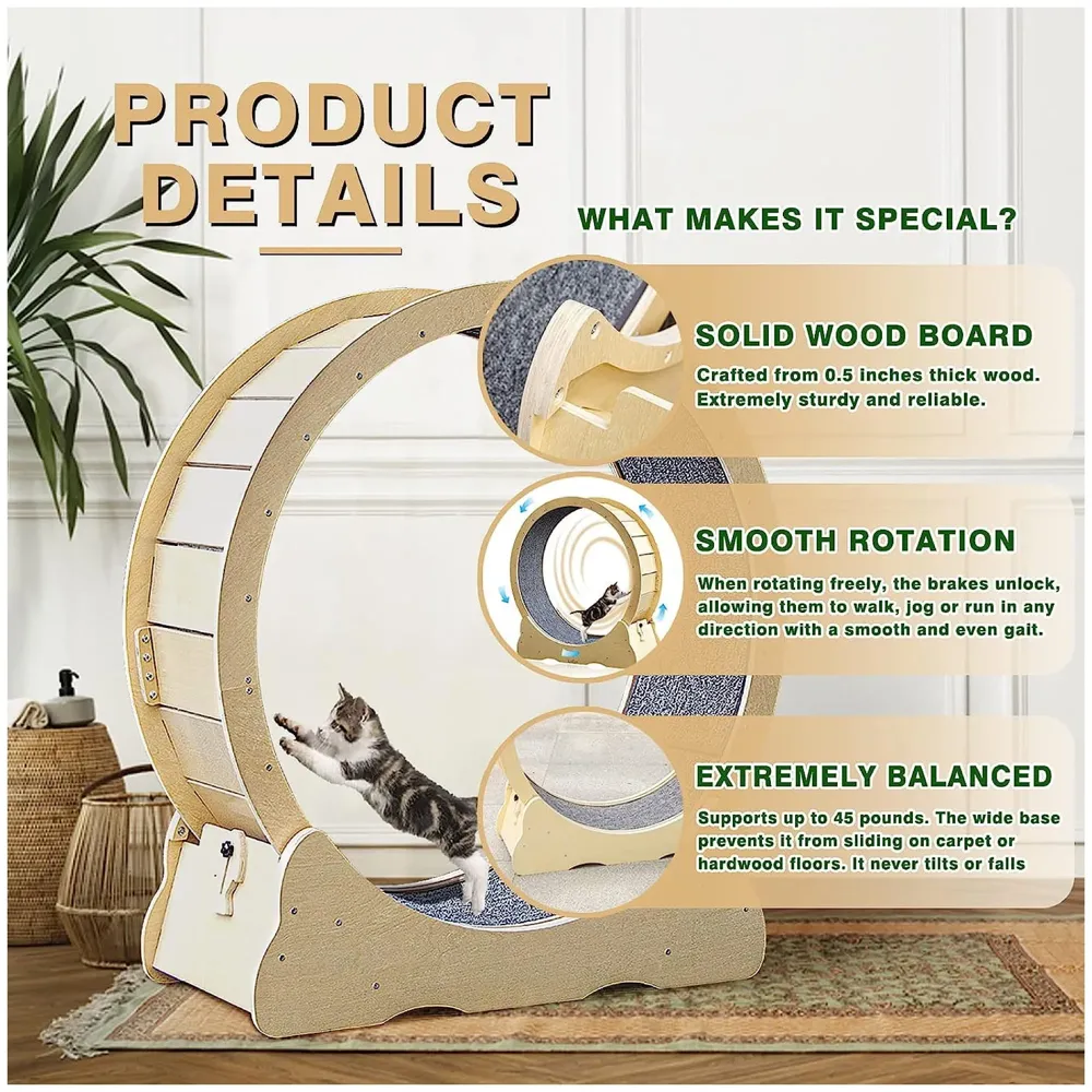 Large Cat Exercise and Running Wheel 40 Inch for Indoor, Sturdy Cat Treadmill Wheel with Locking Mechanism，Stable & Quiet Running for Cat's Healthy 100 Cm Diameter (40 Inch)