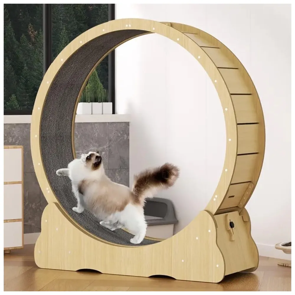 Large Cat Exercise and Running Wheel 40 Inch for Indoor, Sturdy Cat Treadmill Wheel with Locking Mechanism，Stable & Quiet Running for Cat's Healthy 100 Cm Diameter (40 Inch)