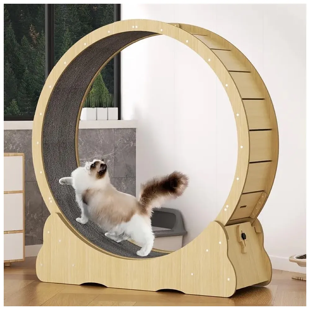 Large Cat Exercise and Running Wheel 40 Inch for Indoor, Sturdy Cat Treadmill Wheel with Locking Mechanism，Stable & Quiet Running for Cat's Healthy 100 Cm Diameter (40 Inch)