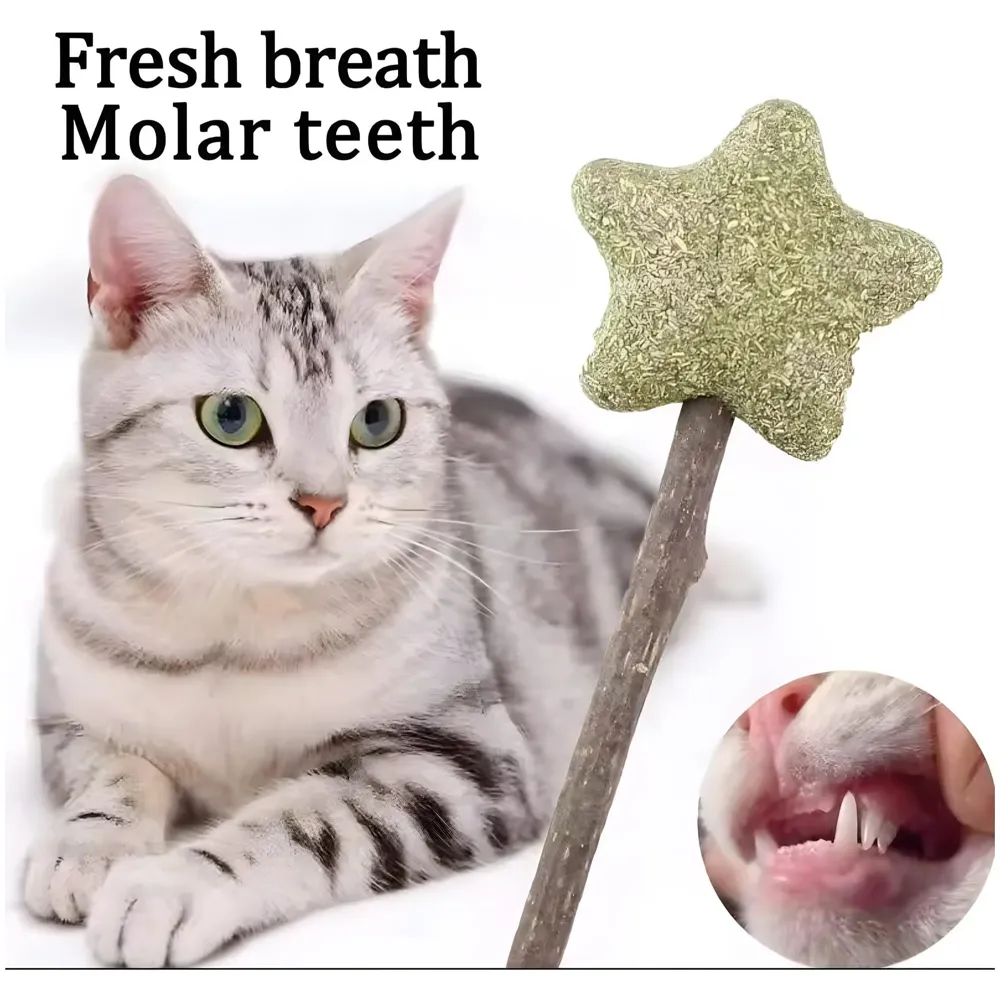 Silvervine Catnip Ball for Cats, Teeth Cleaning Molar Toy, Stick-On Rotating Lollipop Cat Toy for Indoor Cats & Kittens ​ - 2