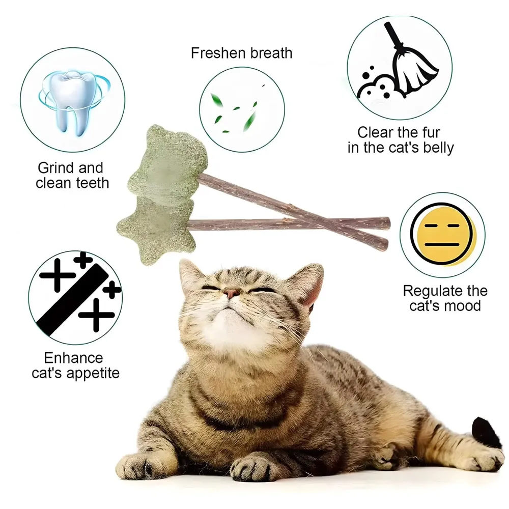 Silvervine Catnip Ball for Cats, Teeth Cleaning Molar Toy, Stick-On Rotating Lollipop Cat Toy for Indoor Cats & Kittens ​ - 3