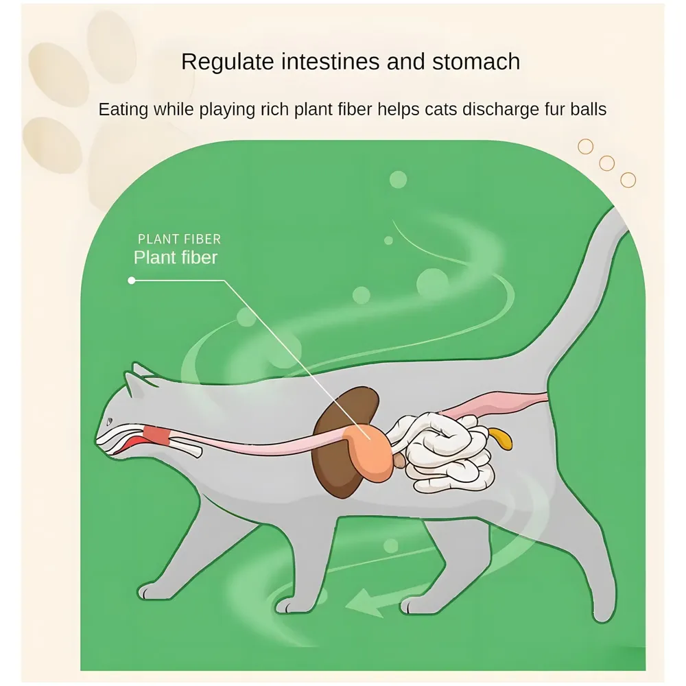 Silvervine Catnip Ball for Cats, Teeth Cleaning Molar Toy, Stick-On Rotating Lollipop Cat Toy for Indoor Cats & Kittens ​ - 5