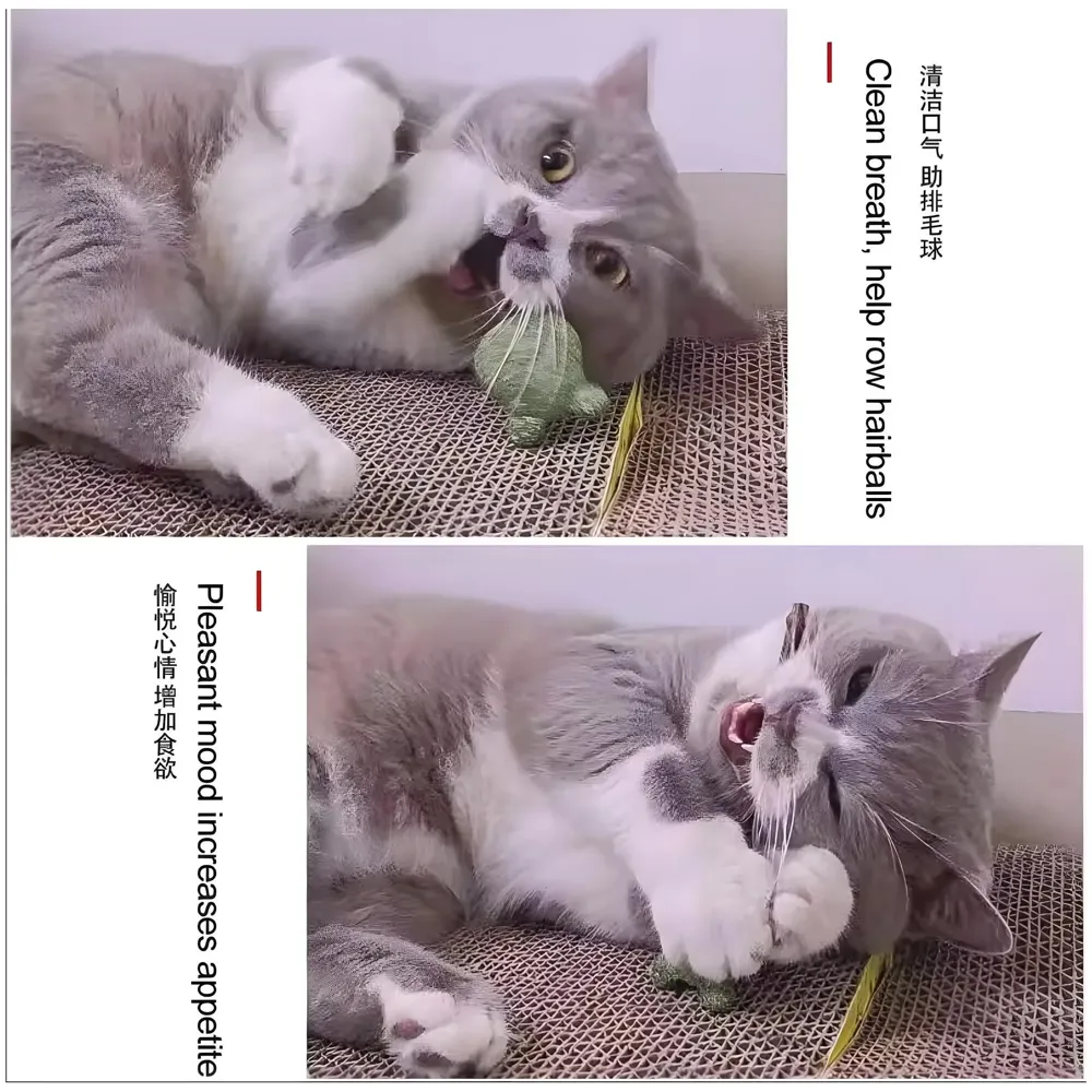 Silvervine Catnip Ball for Cats, Teeth Cleaning Molar Toy, Stick-On Rotating Lollipop Cat Toy for Indoor Cats & Kittens ​ - 6
