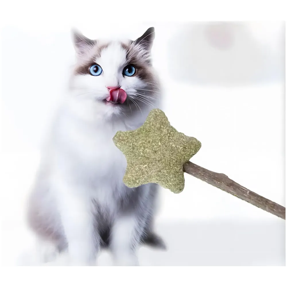 Silvervine Catnip Ball for Cats, Teeth Cleaning Molar Toy, Stick-On Rotating Lollipop Cat Toy for Indoor Cats & Kittens ​ - 7