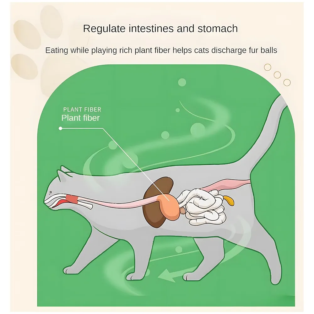 Silvervine Catnip Ball for Cats Premium