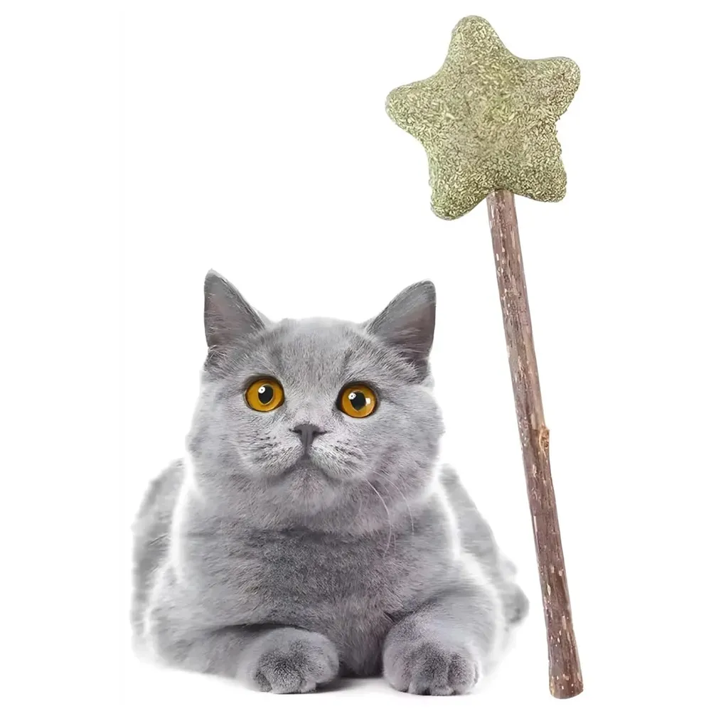 Silvervine Catnip Ball for Cats, Teeth Cleaning Molar Toy, Stick-On Rotating Lollipop Cat Toy for Indoor Cats & Kittens ​