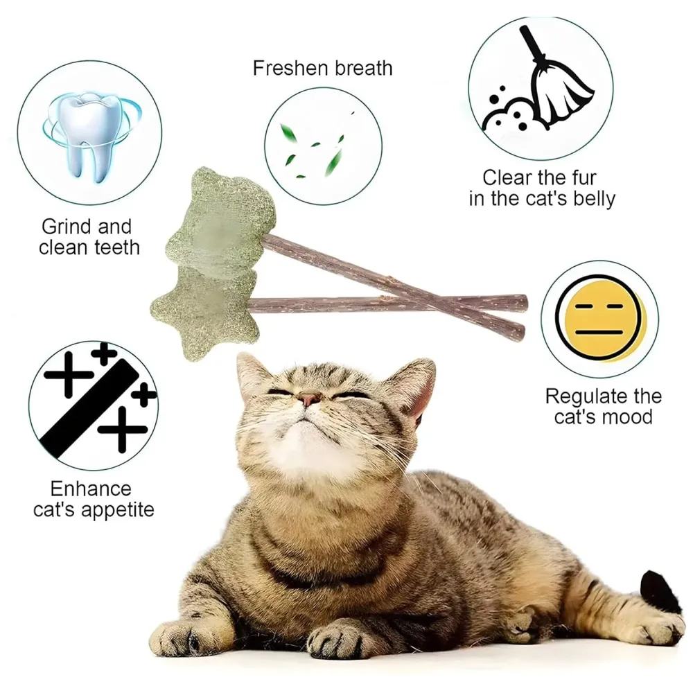 Silvervine Catnip Ball for Cats, Teeth Cleaning Molar Toy, Stick-On Rotating Lollipop Cat Toy for Indoor Cats & Kittens ​