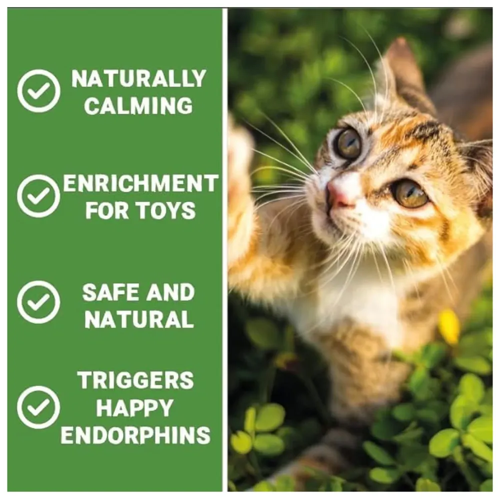 100% Natural Catnip - Strong Grain Free Plant Herb for Happy Kitten & Cat Calming Effects - Use with Cat Toys, Scratching Posts
