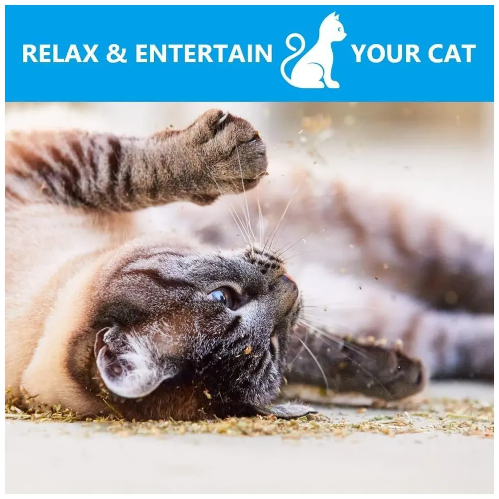 100% Natural Catnip - Strong Grain Free Plant Herb for Happy Kitten & Cat Calming Effects - Use with Cat Toys, Scratching Posts