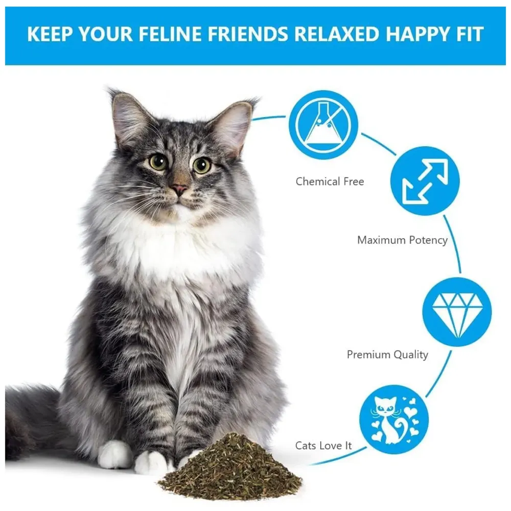 100% Natural Catnip - Strong Grain Free Plant Herb for Happy Kitten & Cat Calming Effects - Use with Cat Toys, Scratching Posts
