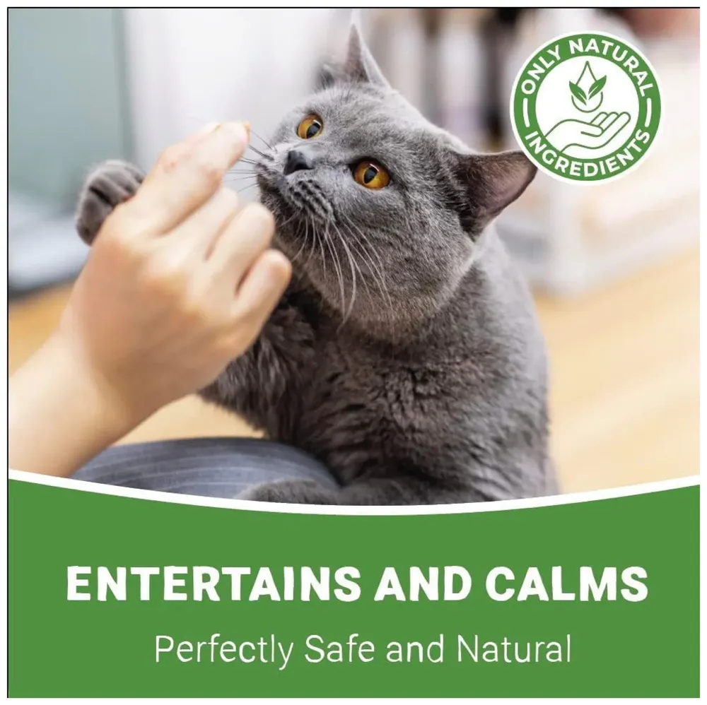 100% Natural Catnip - Strong Grain Free Plant Herb for Happy Kitten & Cat Calming Effects - Use with Cat Toys, Scratching Posts