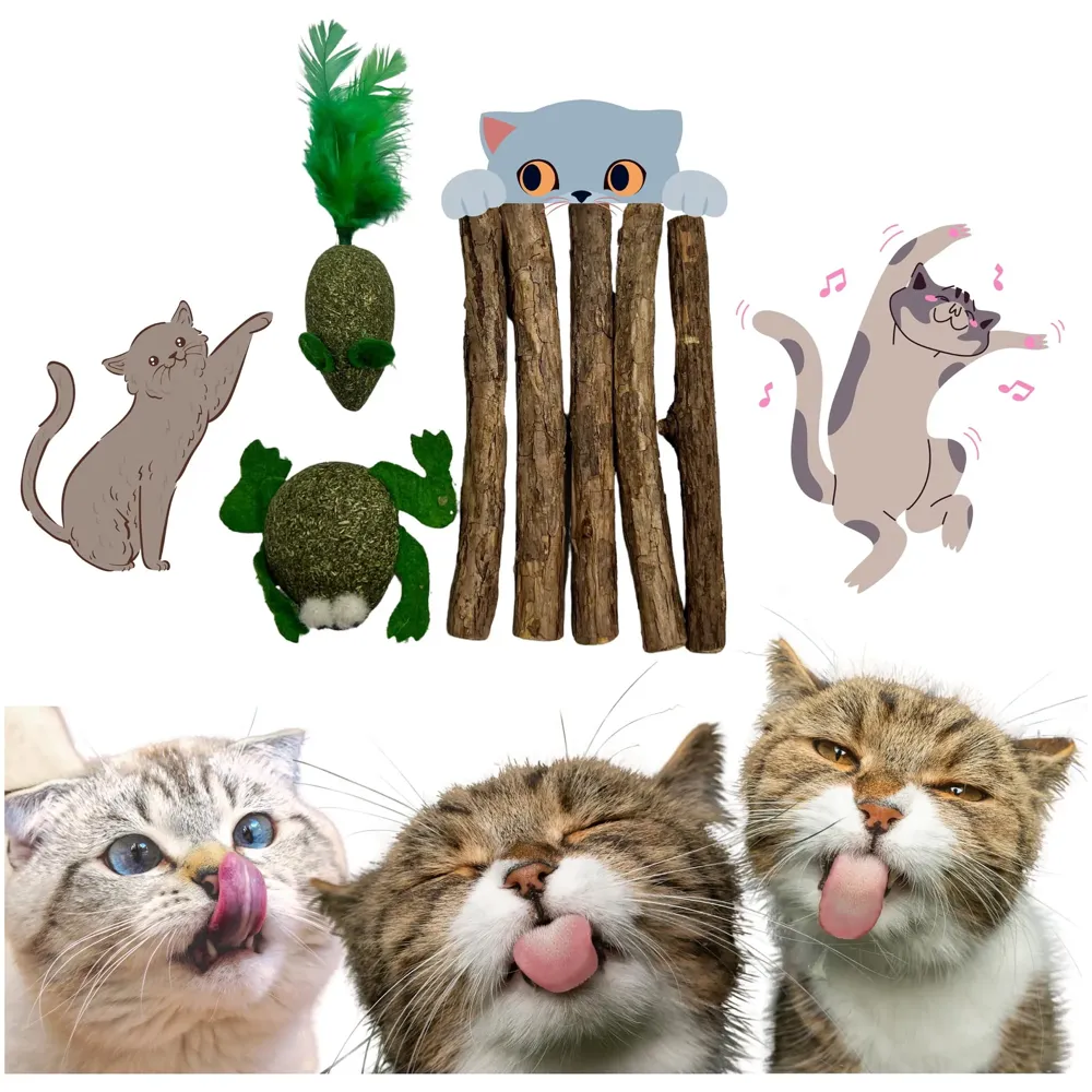 Thick Catnip Sticks 5 Pcs and 2 Catnip Ladoos Kitten Cat Toys Silvervine Teething Toys Molar Suitable for Cats of All Ages Chew Toy.