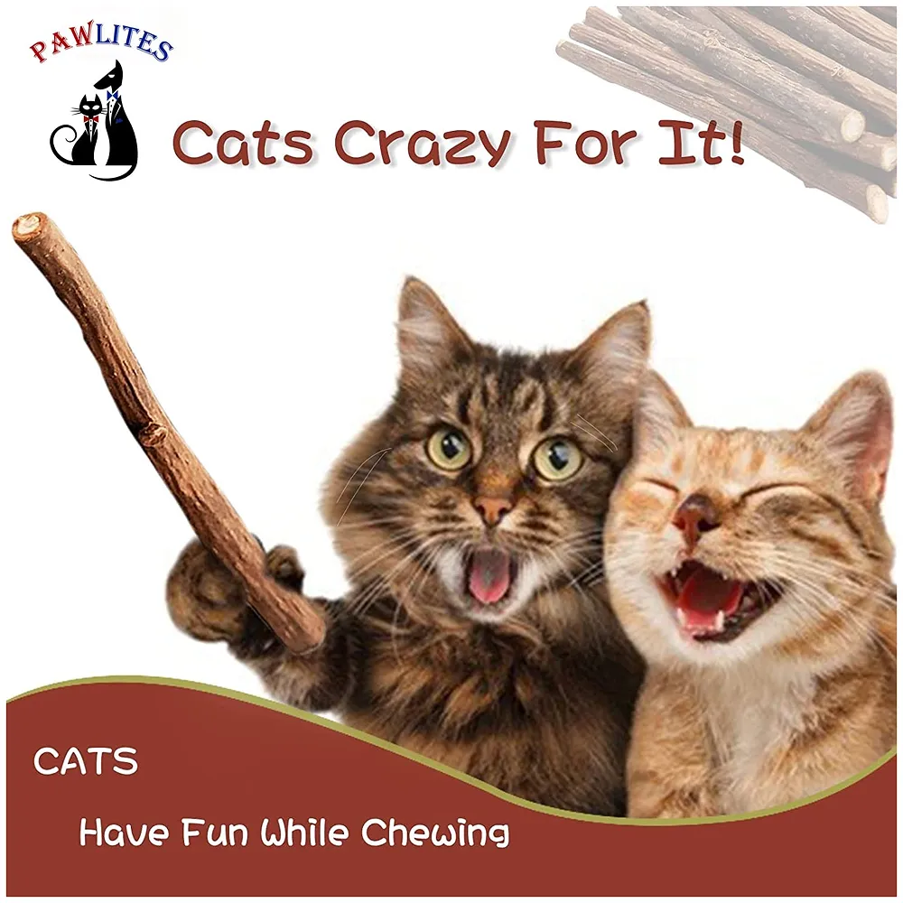 Thick Catnip Sticks 5 Pcs and 2 Catnip Ladoos Kitten Cat Toys Silvervine Teething Toys Molar Suitable for Cats of All Ages Chew Toy. Premium