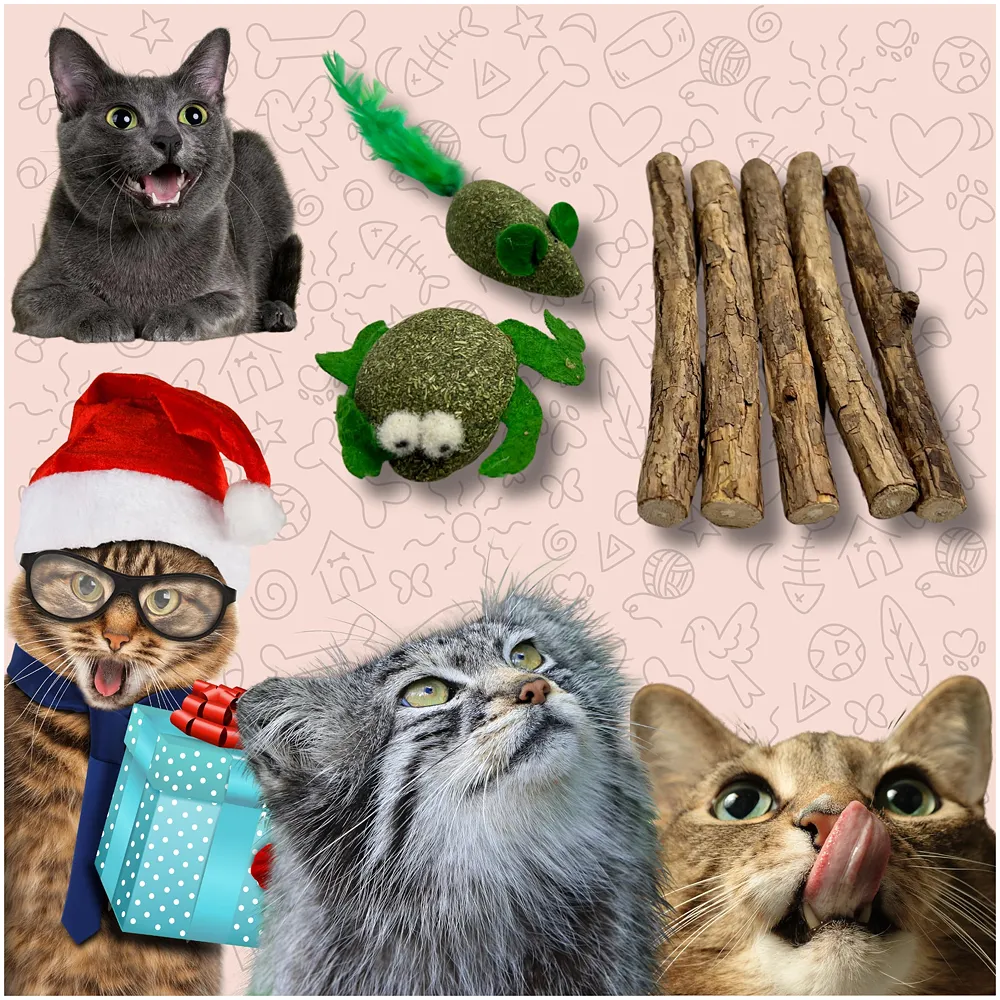 Thick Catnip Sticks 5 Pcs and 2 Catnip Ladoos Kitten Cat Toys Silvervine Teething Toys Molar Suitable for Cats of All Ages Chew Toy. Premium