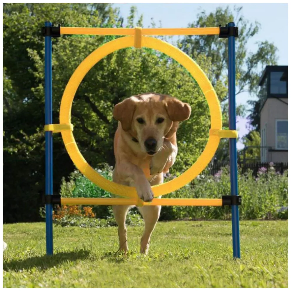 Pet Dog Jump Ring Activity Ring Adjustable for Training and Behaviour. - 2