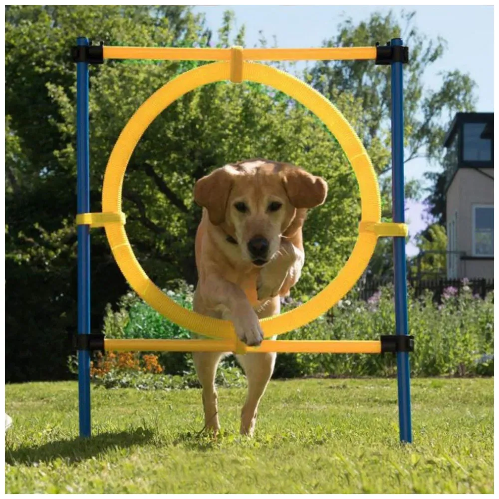 Pet Dog Jump Ring Activity Ring Adjustable for Training and Behaviour.
