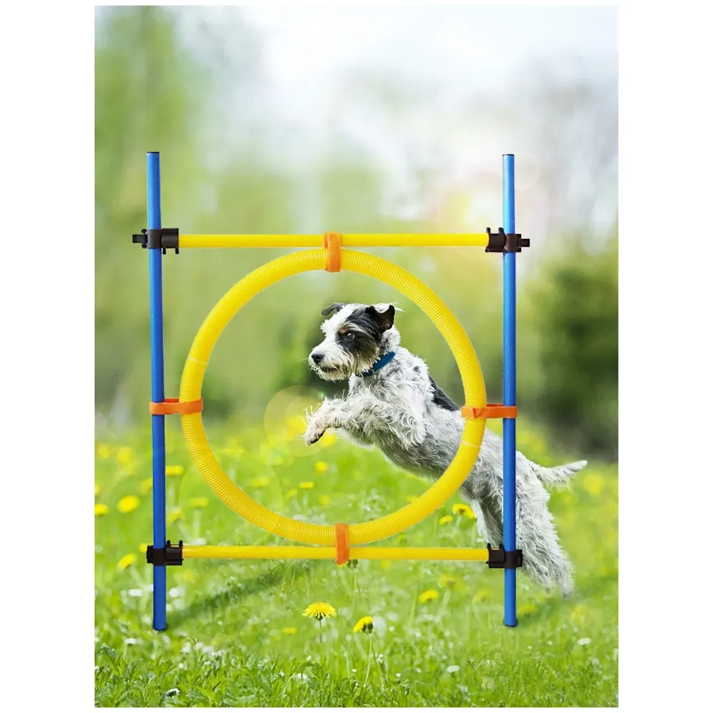 Pet Dog Jump Ring Activity Ring Adjustable for Training and Behaviour.
