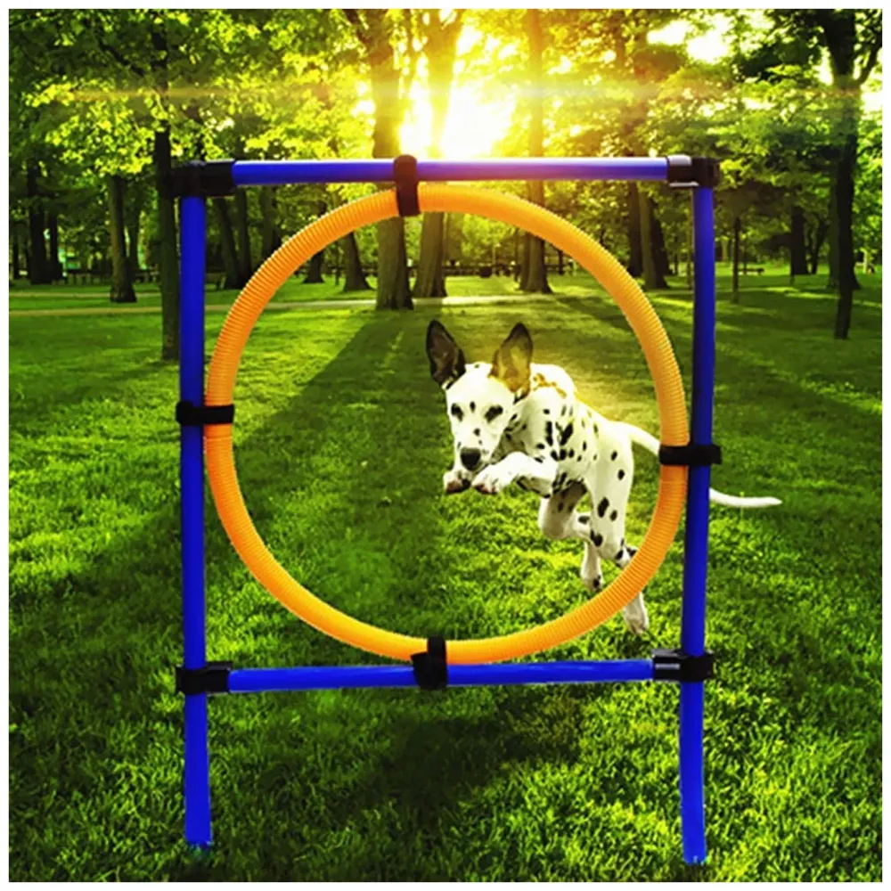 Pet Dog Jump Ring Activity Ring Adjustable for Training and Behaviour.